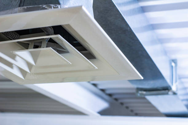 Best Affordable Air Duct Cleaning  in Dland, MI