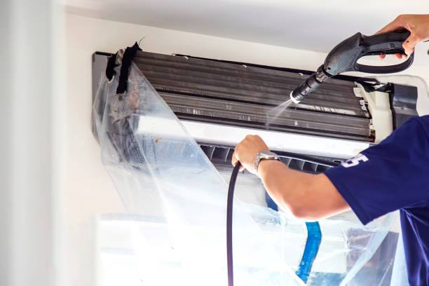 Best Air Duct Cleaning Cost  in Dland, MI
