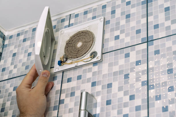 Best Air Vent Cleaning Services  in Dland, MI