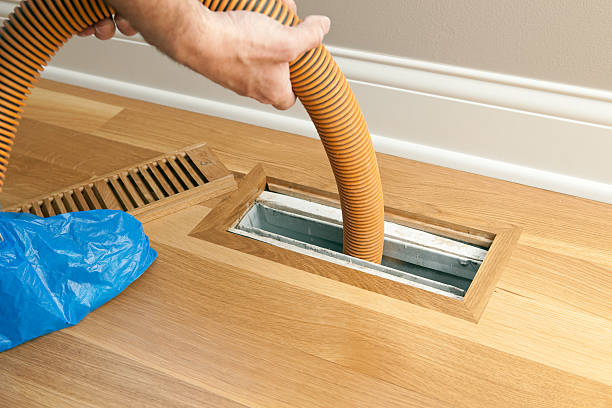 Best HVAC Air Duct Cleaning  in Dland, MI
