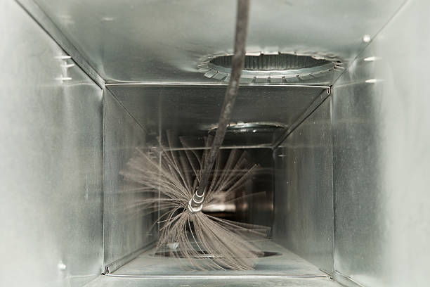 Best HVAC Maintenance and Cleaning  in Dland, MI