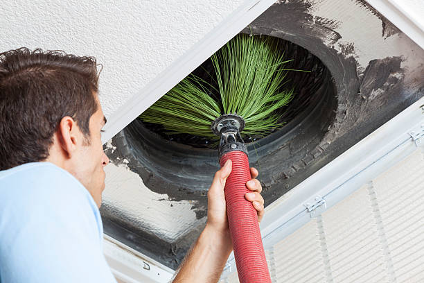 Best Emergency Air Duct Cleaning  in Dland, MI