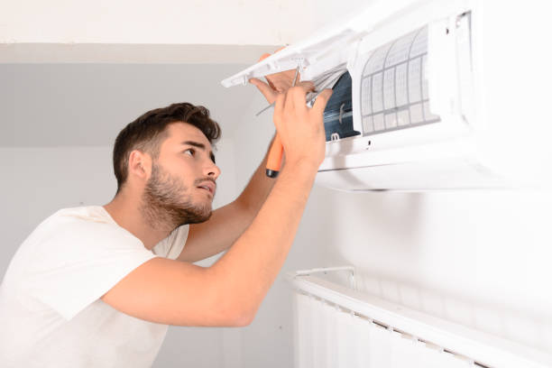 Best Residential Air Duct Cleaning  in Dland, MI